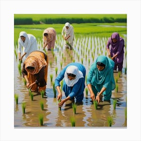 An Image Of Women Working In Rice Field, Planting The Rice Saplings, Pakistan. 1 Canvas Print