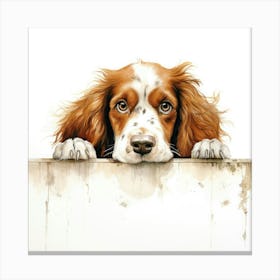 Spaniel Welsh Springer 5 Canvas Print