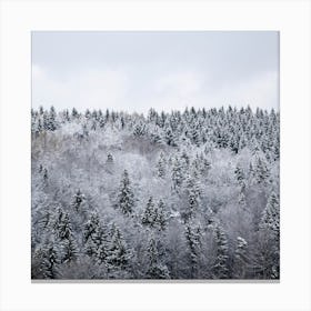White Winter Forest Square Canvas Print
