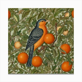 Bird Perched On An Orange Tree 2 Canvas Print