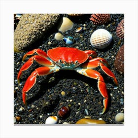 Red Crab On The Beach 1 Canvas Print
