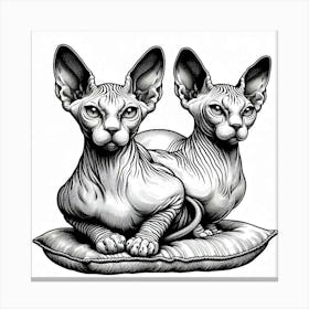 Line Art sphinx cat 3 Canvas Print