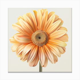 Gerbera Daisy Canvas Print