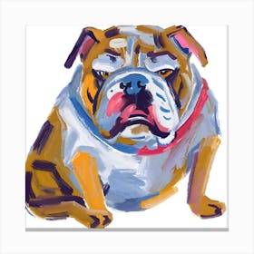 Bulldog 03 Canvas Print