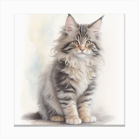 Mainecoon Kitten water color Canvas Print