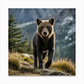 Grizzly Bear 1 Canvas Print