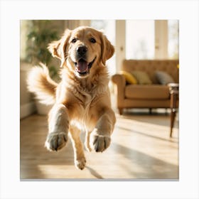 Golden Retriever Jumping Canvas Print