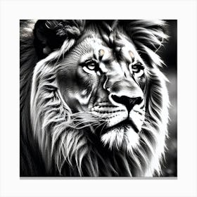 Lion art 83 Canvas Print