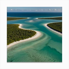 San Juan Island 1 Canvas Print