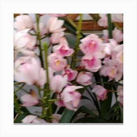 Pink Orchids 9 Canvas Print