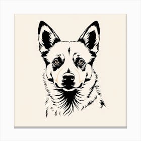 Australian Shepherd Dog5 Canvas Print