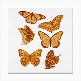 Texas Butterflies   Golden Yellow Square Canvas Print