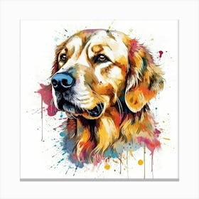 Golden Retriever 2 Canvas Print