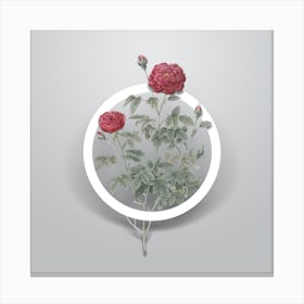 Vintage Burgundy Cabbage Rose Minimalist Floral Geometric Circle on Soft Gray n.0232 Canvas Print