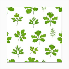 Parsley Leaves Seamless Pattern Art Print Canvas Print