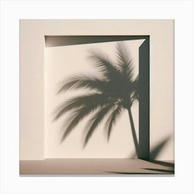 Shadow Of Palm Tree 6 Canvas Print