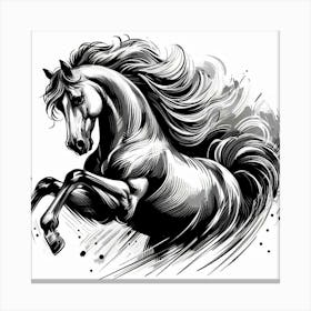 Illustration Arabian stallion 6 Canvas Print