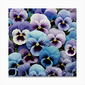 Pansies 2 Canvas Print