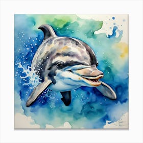 Babydolphin Canvas Print