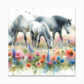 Horses In The Meadow 3 Canvas Print