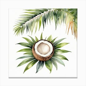 Coconut on Palm leaf Canvas Print