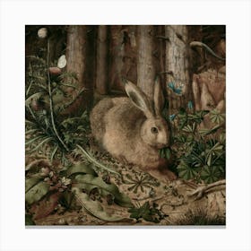 Rabbits 1 3 1 Canvas Print