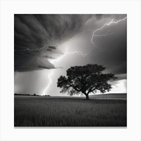 Lightning Over A Tree 2 Canvas Print