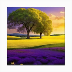 Lavender Field At Sunset Canvas Print