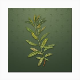 Vintage Rhodora Botanical on Lunar Green Pattern n.0537 Canvas Print