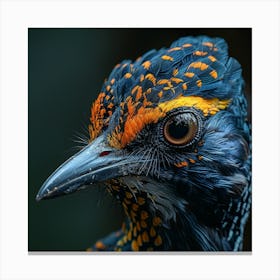 Bird, Close Up, Close Up, Bird Canvas Print