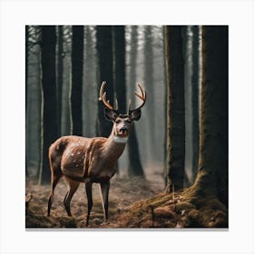 Deer In The Forest 22 Canvas Print