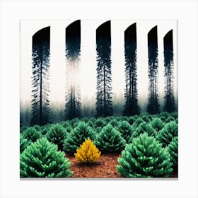 square tree 2 Canvas Print