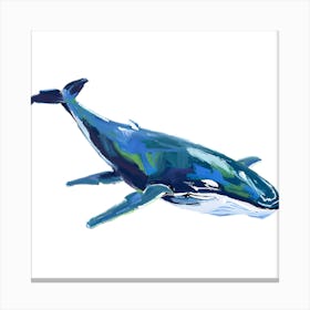 Humpback Whale 01 Canvas Print