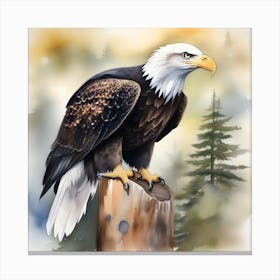 Watercolour Bald Eagle 2 Canvas Print