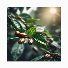 Coffee Beans On A Tree 73 Canvas Print