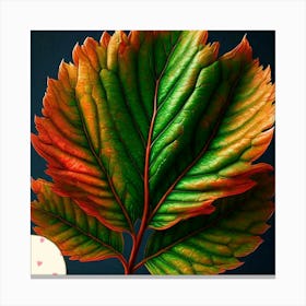 Peach leaf Canvas Print