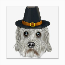 Dandie Dinmont Terrier Wearing Pilgrim Hat Thanksgiving Canvas Print