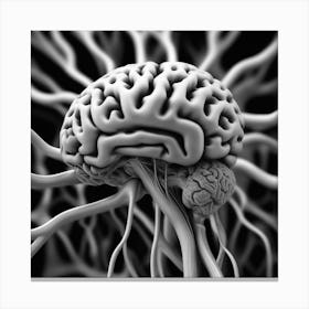 Brain And Nerves Canvas Print