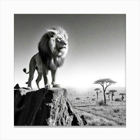 Lion 2 Canvas Print