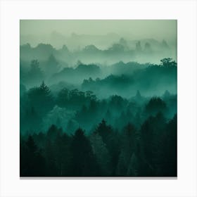 Misty Forest 7 Canvas Print