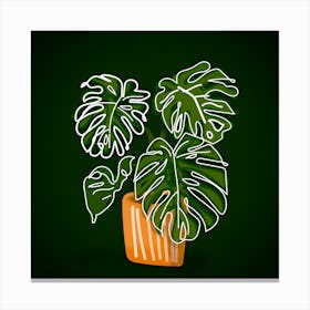 Monstera Plant Tropical Canvas Print