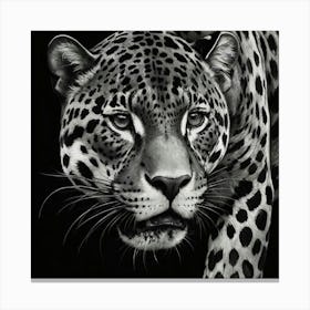 Jaguar 4 Canvas Print