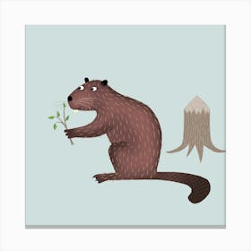 Beaver Canvas Print