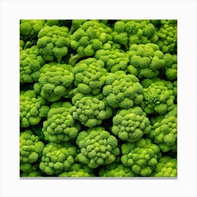 Close Up Of Green Broccoli 2 Canvas Print