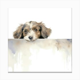 Setter English 2 Canvas Print