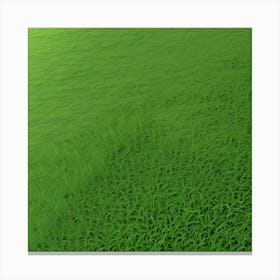 Green Grass 21 Canvas Print