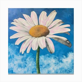 Daisy 1 Canvas Print