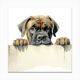 Boxer Dog 19 Canvas Print