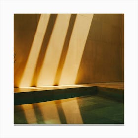 Pool Footage Canvas Print