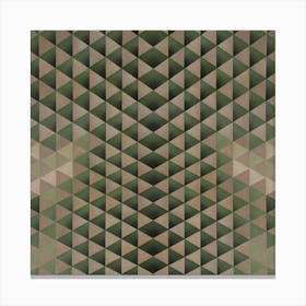 Triangles 9 Canvas Print